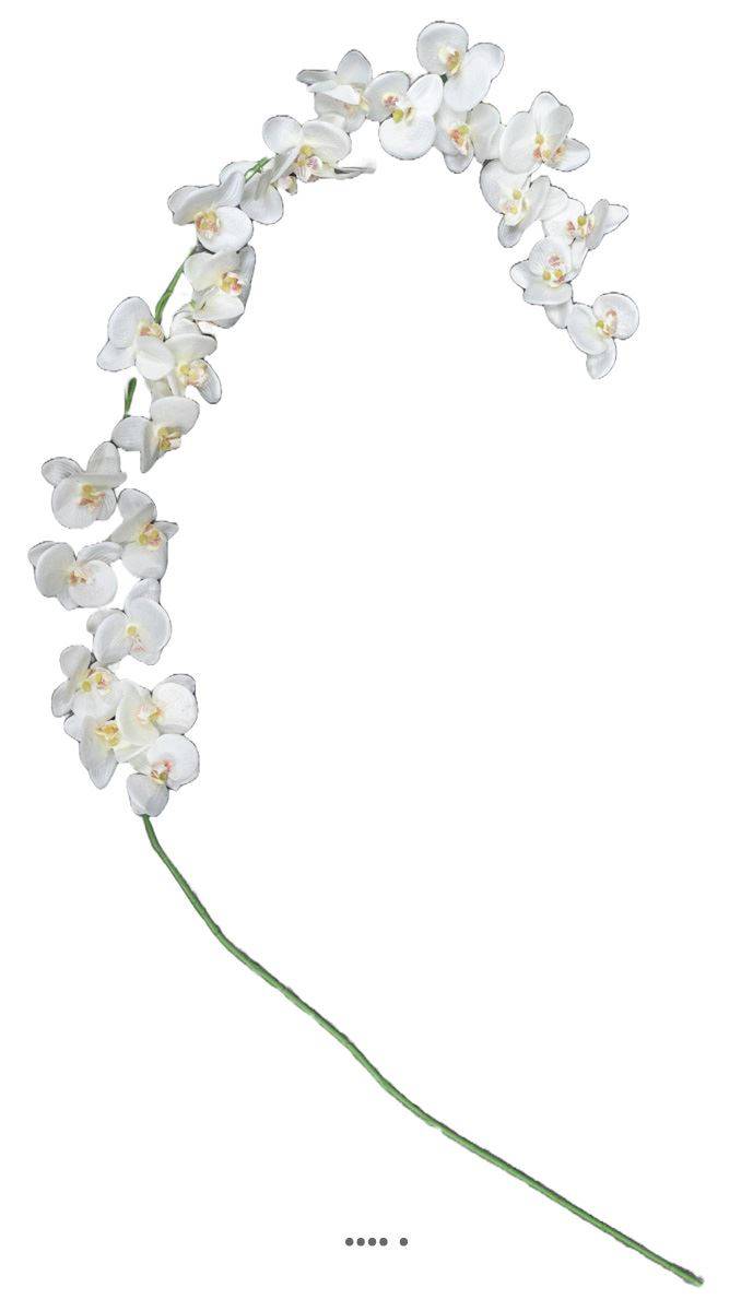Artificielles - Orchidée en tige retombant H190cm 32 fleurons 5 boutons fermés PE Crème - Imagen 2