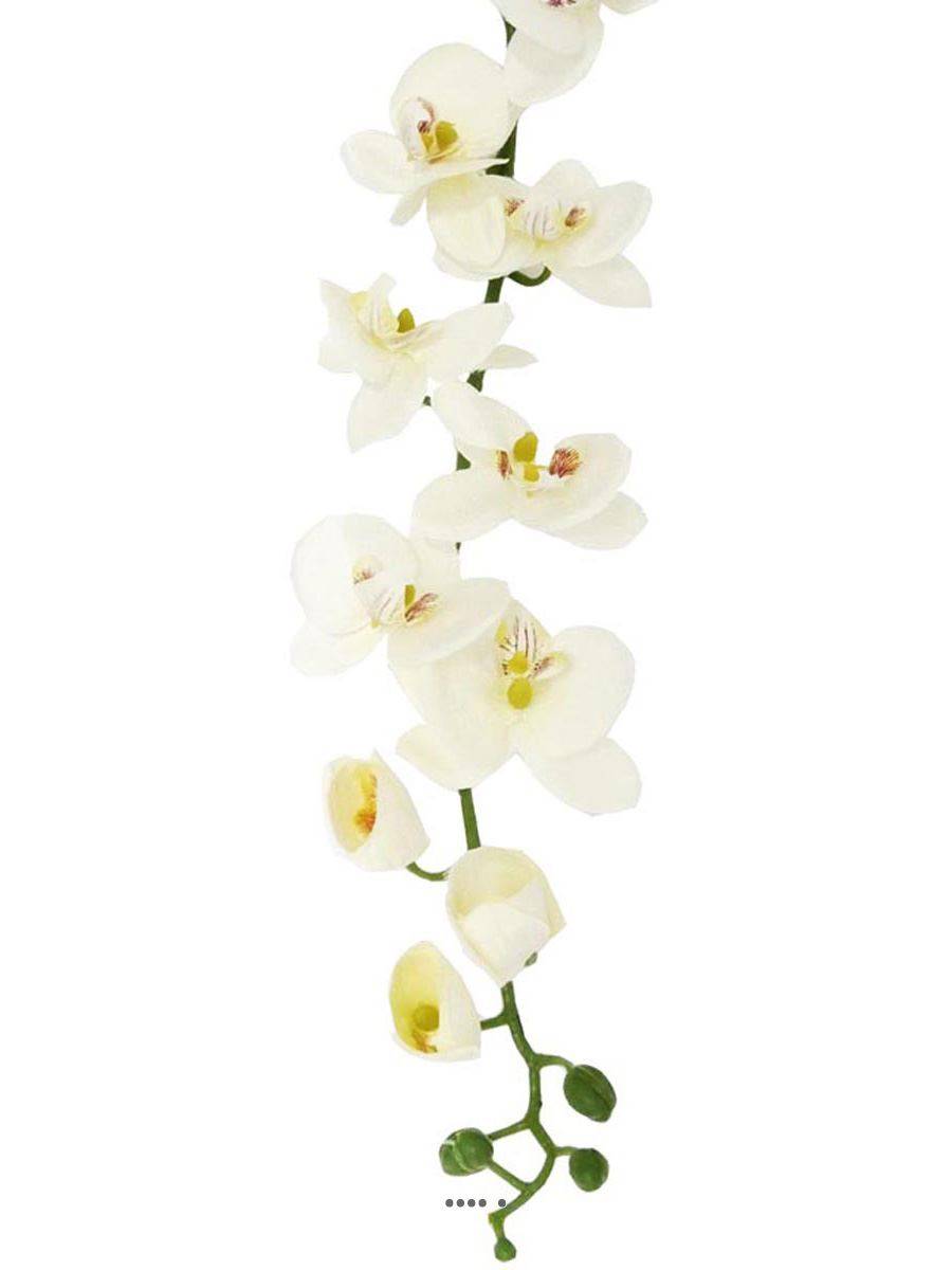 Artificielles - Orchidée en tige retombant H190cm 32 fleurons 5 boutons fermés PE Crème - Imagen 3