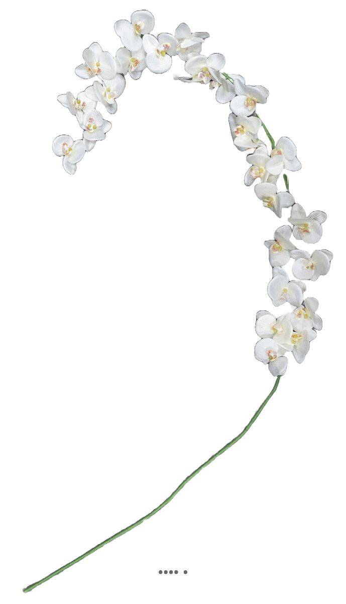 Artificielles - Orchidée en tige retombant H190cm 32 fleurons 5 boutons fermés PE Crème - Imagen 1