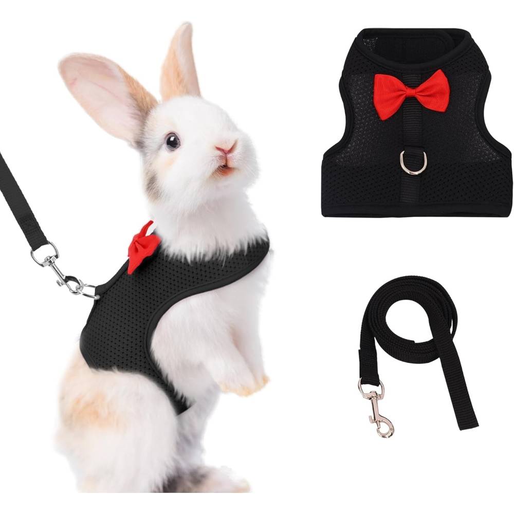 Harnais pour lapin m - IntiMeg