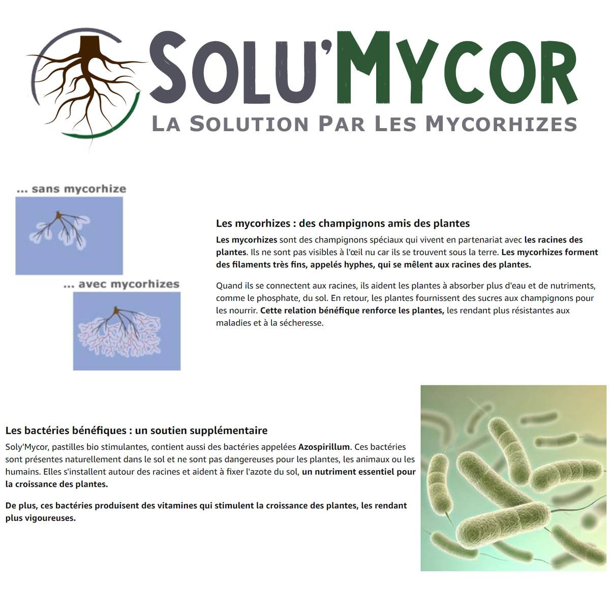 SoluMycor – 25 Pastilles Biostimulantes Chanvre – Idéal pour Semis & Plantation – Mycorhizes & Bactéries Azospirillum – Développement Racine - Image 3