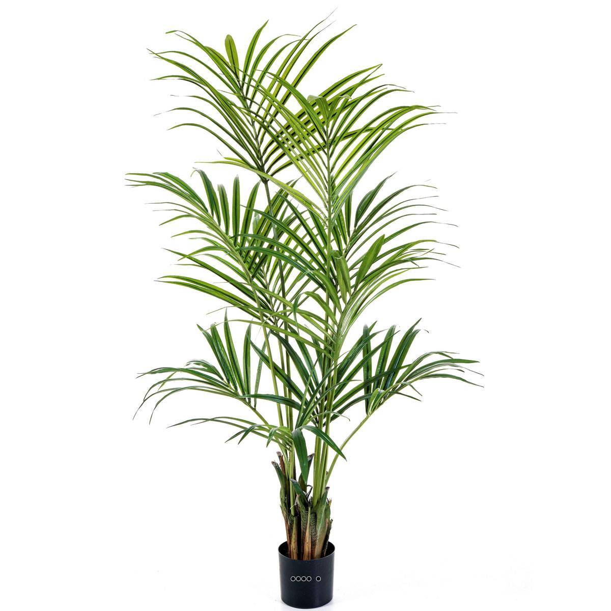 Artificielles - Palmier Kentia artificiel H 200 cm 192 feuilles artificielles - dimhaut: H 200 cm - couleur: Vert - Imagen 1