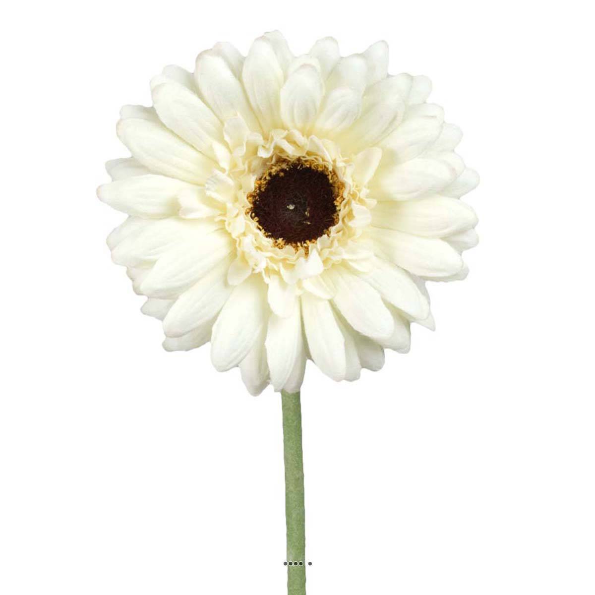 Artificielles - Gerbera artificiel H 55 cm D 10 cm superbe tête tissu Crème - couleur: Crème - Imagen 1