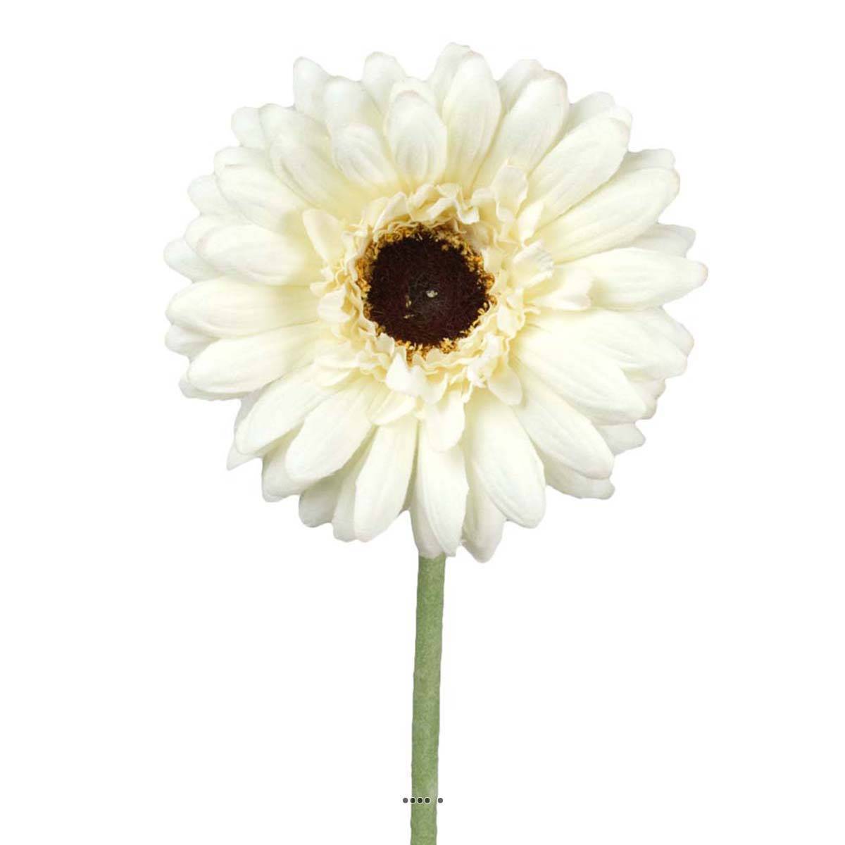 Artificielles - Gerbera artificiel H 55 cm D 10 cm superbe tête tissu Crème - couleur: Crème - Imagen 2