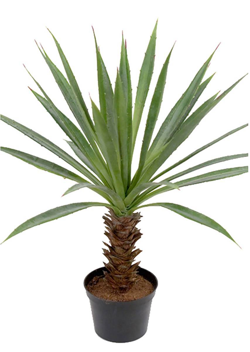 Artificielles - Agave artificiel sur pied en pot, H 40 cm, D 30,5 cm - Imagen 1