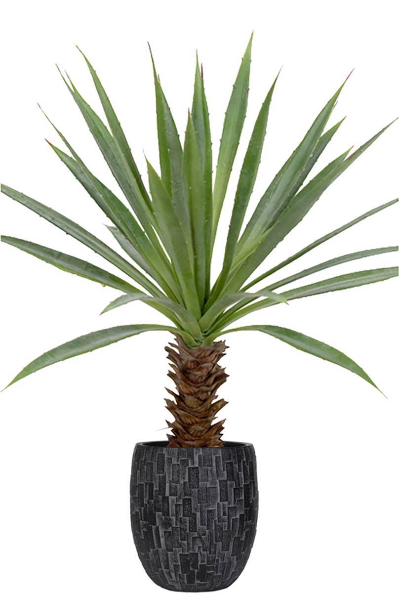 Artificielles - Agave artificiel sur pied en pot, H 40 cm, D 30,5 cm - Imagen 2