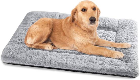 Tapis Chien Grande Taille, 90x60 cm