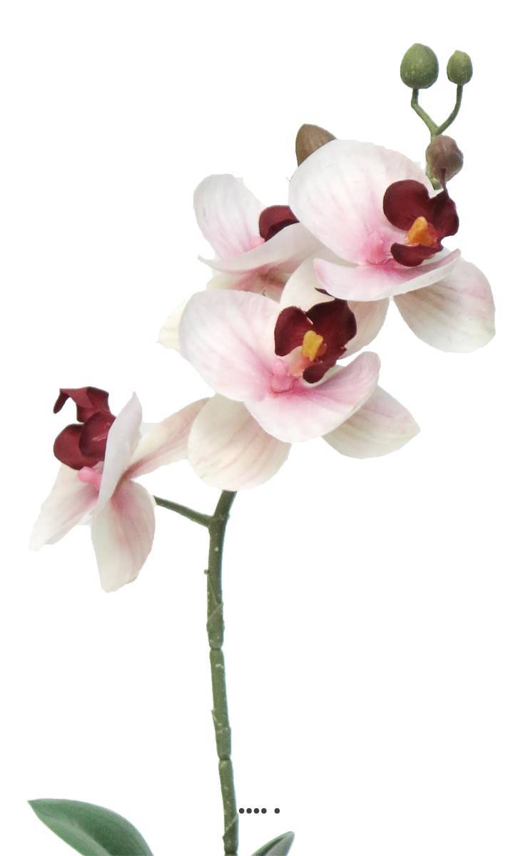 Artificielles - Orchidée Phalaenopsis factice en pot top qualité H35cm Rose-crème-BEST - dimhaut: H 35 cm - couleur: Rose-crème - Imagen 3