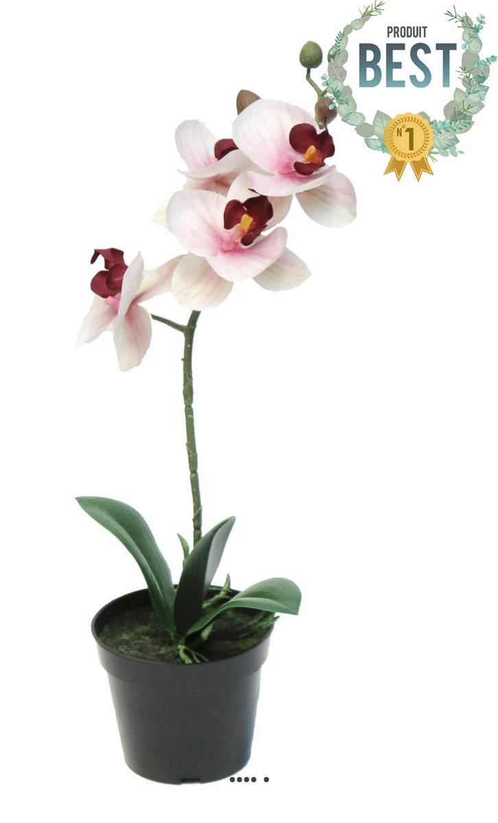 Artificielles - Orchidée Phalaenopsis factice en pot top qualité H35cm Rose-crème-BEST - dimhaut: H 35 cm - couleur: Rose-crème - Imagen 1