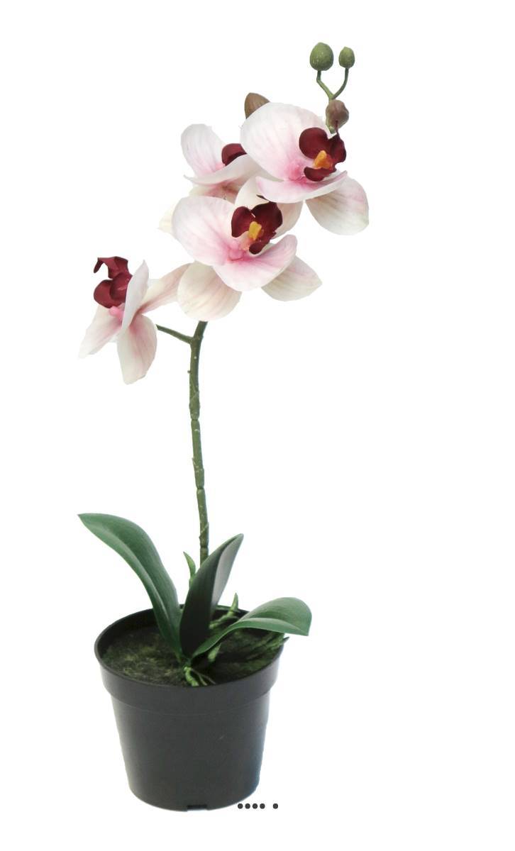 Artificielles - Orchidée Phalaenopsis factice en pot top qualité H35cm Rose-crème-BEST - dimhaut: H 35 cm - couleur: Rose-crème - Imagen 2