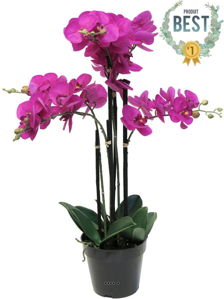 Artificielles - Orchidée Phalaenopsis factice Top Qualité & pot H60cm Rose fushia-BEST - dimhaut: H 60 cm - couleur: Rose fushia 730 - Imagen 1