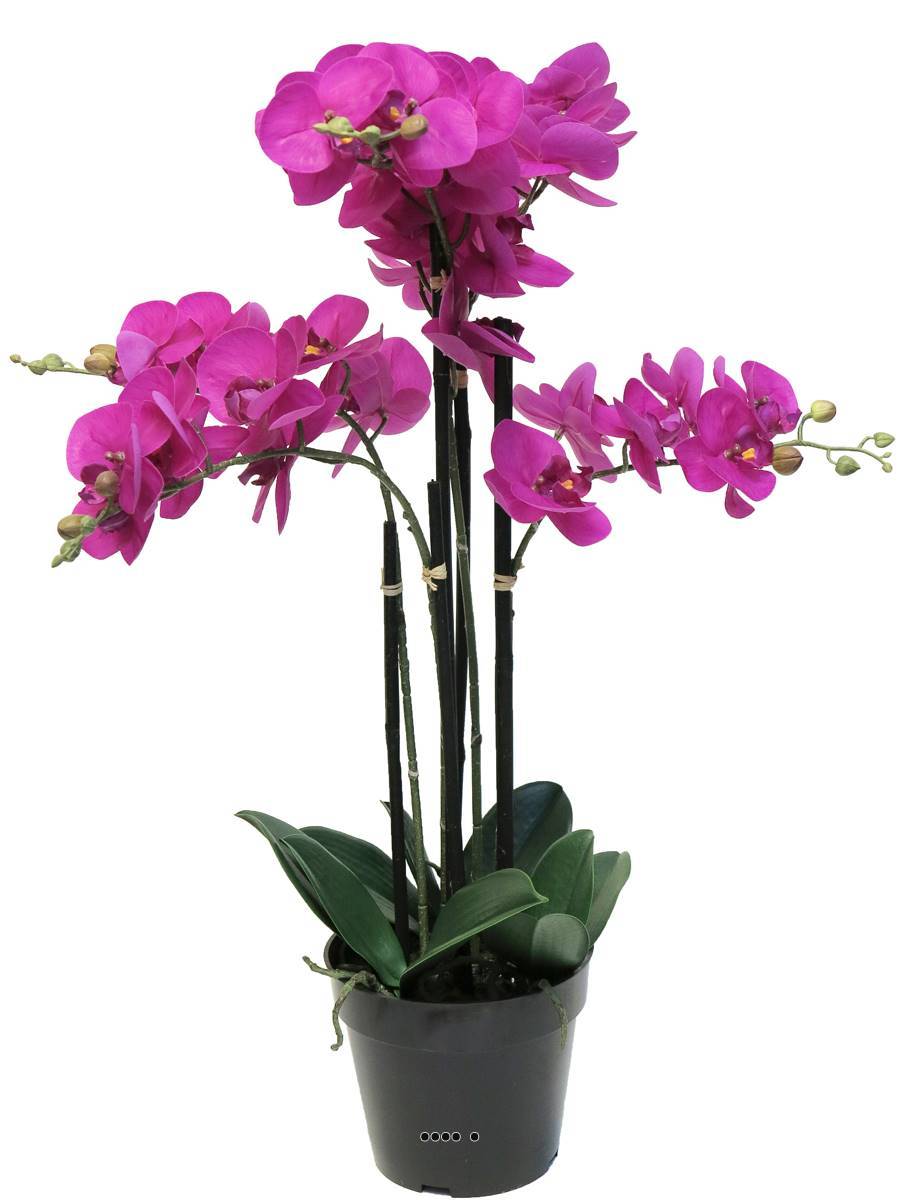 Artificielles - Orchidée Phalaenopsis factice Top Qualité & pot H60cm Rose fushia-BEST - dimhaut: H 60 cm - couleur: Rose fushia 730 - Imagen 2