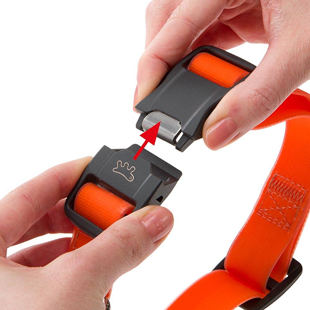Ferplast - Collier pour Chiens EVOLUTION C16/32 avec Boucle Magnétique, Hypoallergénique, Lavable, Vert - Imagen 9
