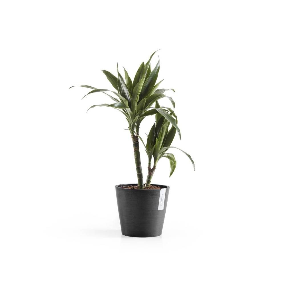 Ecopots - Pot Rond Amsterdam 20 Gris Foncé - Ø 20 x H. 17,5 cm - 4 L ECOPOTS - Imagen 2