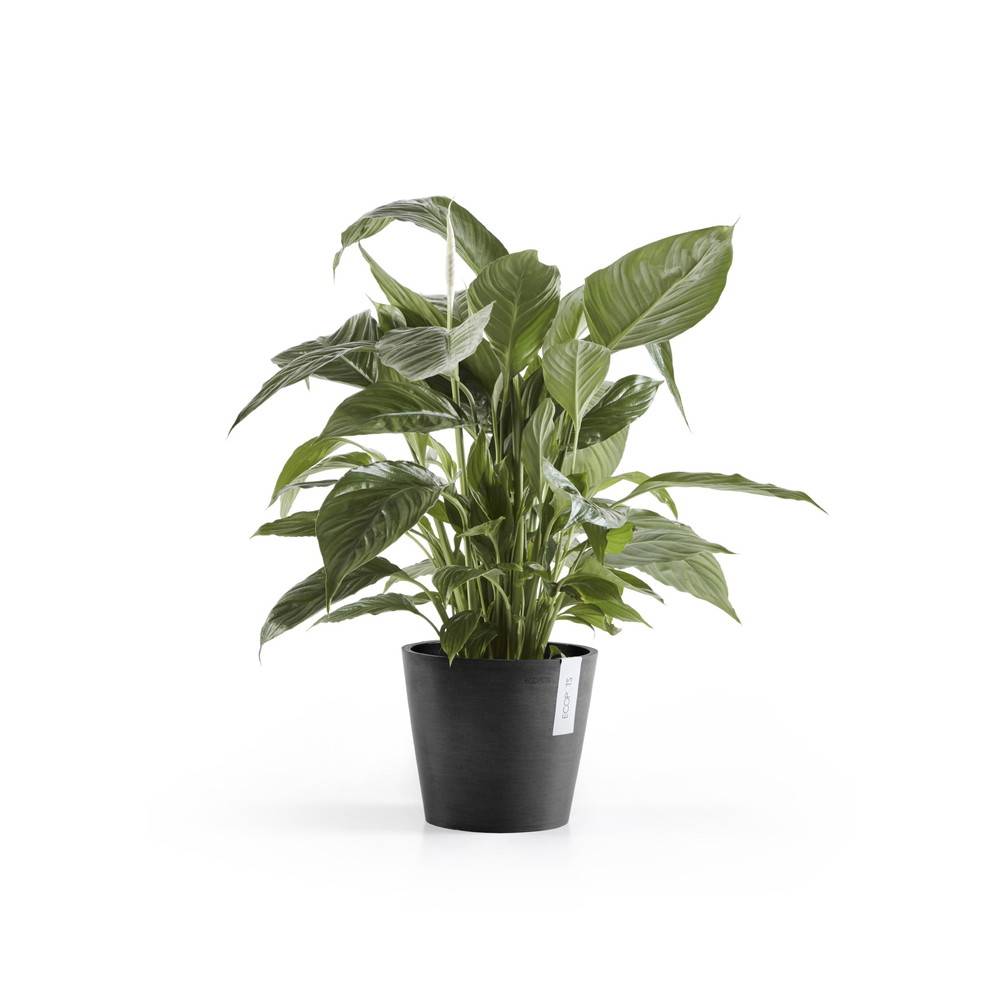 Ecopots - Pot Rond Amsterdam 20 Gris Foncé - Ø 20 x H. 17,5 cm - 4 L ECOPOTS - Imagen 1
