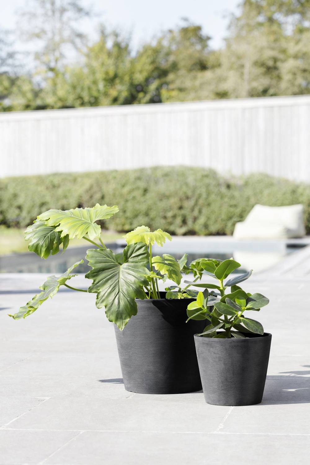 Ecopots - Pot Rond Amsterdam 20 Gris Foncé - Ø 20 x H. 17,5 cm - 4 L ECOPOTS - Imagen 4