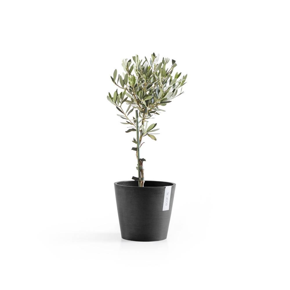 Ecopots - Pot Rond Amsterdam 20 Gris Foncé - Ø 20 x H. 17,5 cm - 4 L ECOPOTS - Imagen 3