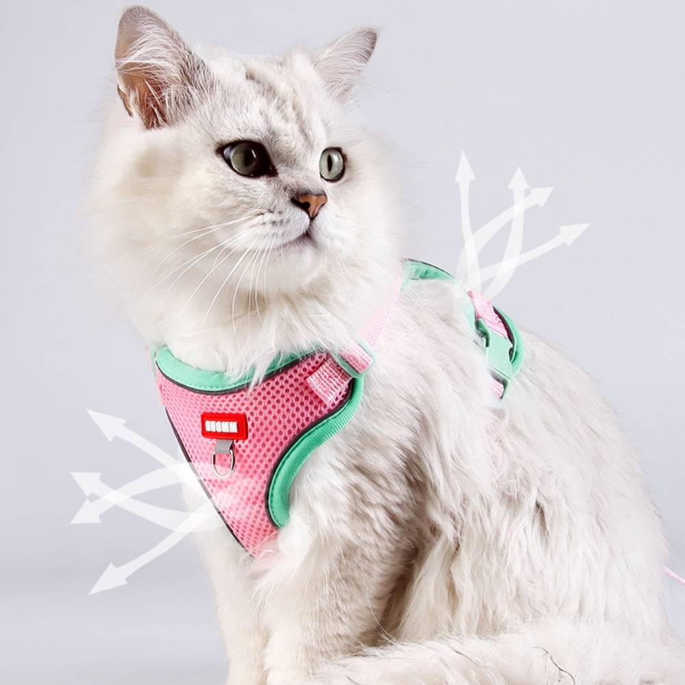 IntiMeg - Harnais avec laisse pour chat xl - IntiMeg - Image 2