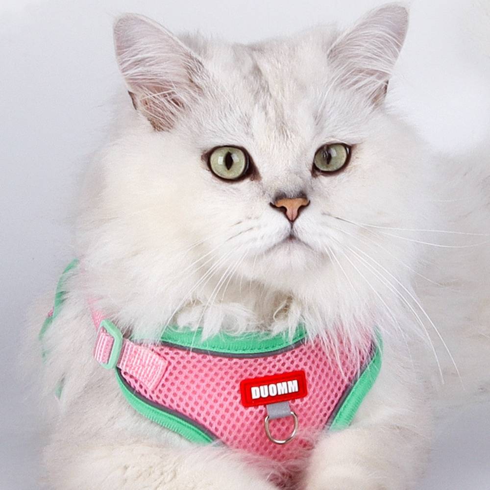 IntiMeg - Harnais avec laisse pour chat xl - IntiMeg - Image 4