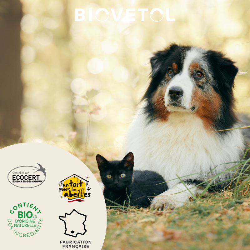 Biovetol - Shampoing Anti-Démangeaisons Bio (recharge écologique) - Imagen 3