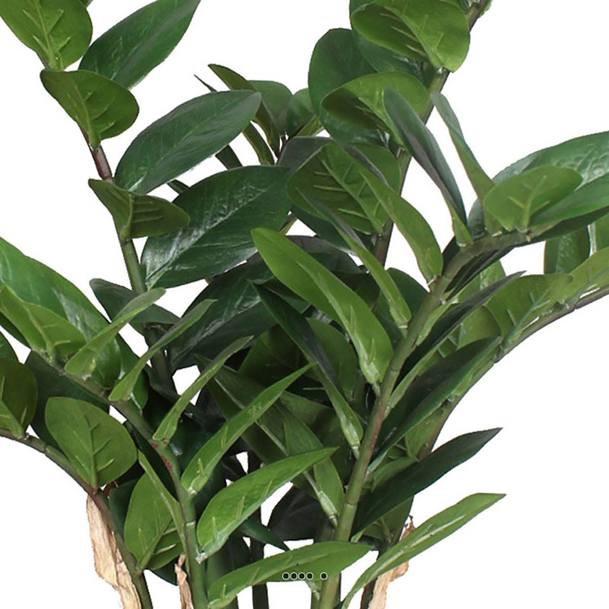Artificielles - Zamifolia artificiel en pot H 70 cm 7 tiges - Imagen 3
