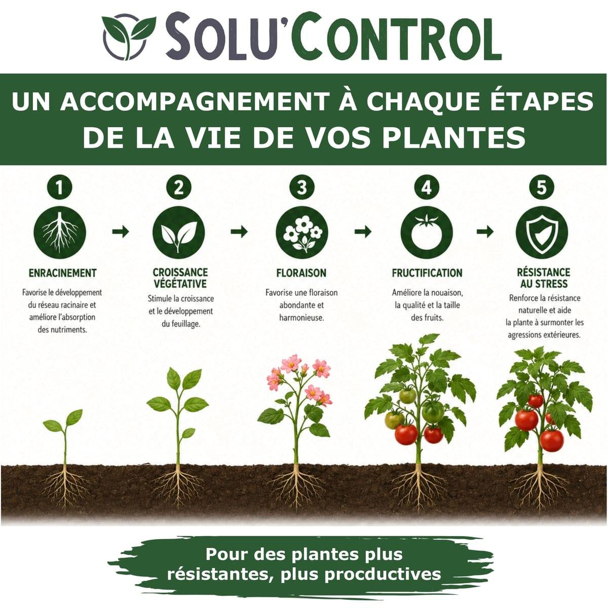 Tout pour les nuisibles - Végé'Reprise 500 mL - Biostimulant concentré aux acides aminés, algues et oligo-éléments Solu'Control - Fabriqué en France - UAB - Image 2