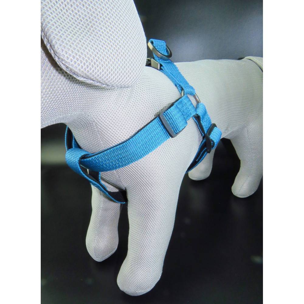 Harnais Jannu S 25-45 cm 15 mm  bleu pour chien - Imagen 6