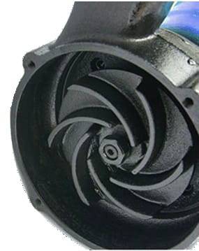 Importdistrib - Pompe A Eau Vide Cave Pour Fosse Septique Avec Broyeur + Flotteur 2850w - Image 4