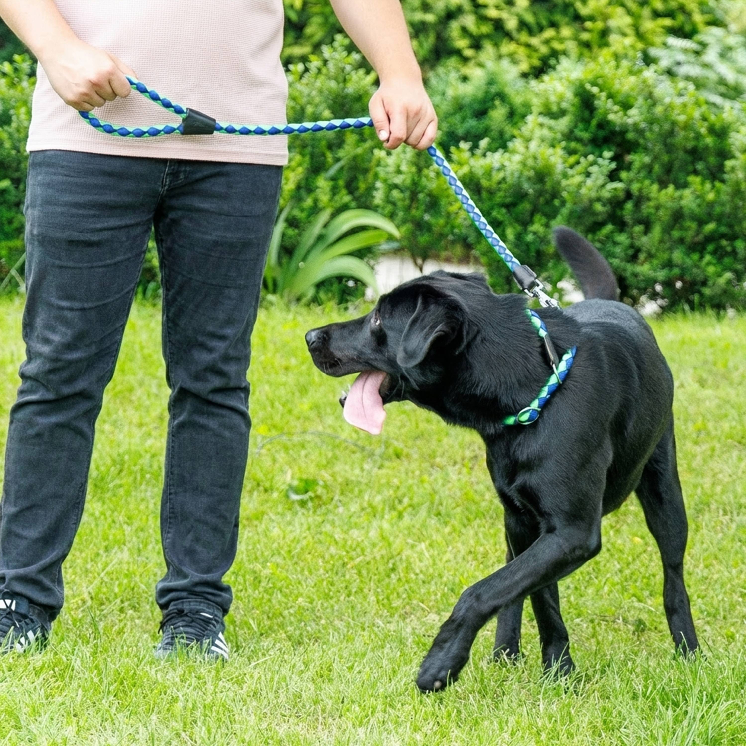 Ferplast - Laisse pour Chiens en Nylon tressé TWIST MATIC G18/110, avec Mousqueton Magnétique Automatique - Imagen 3