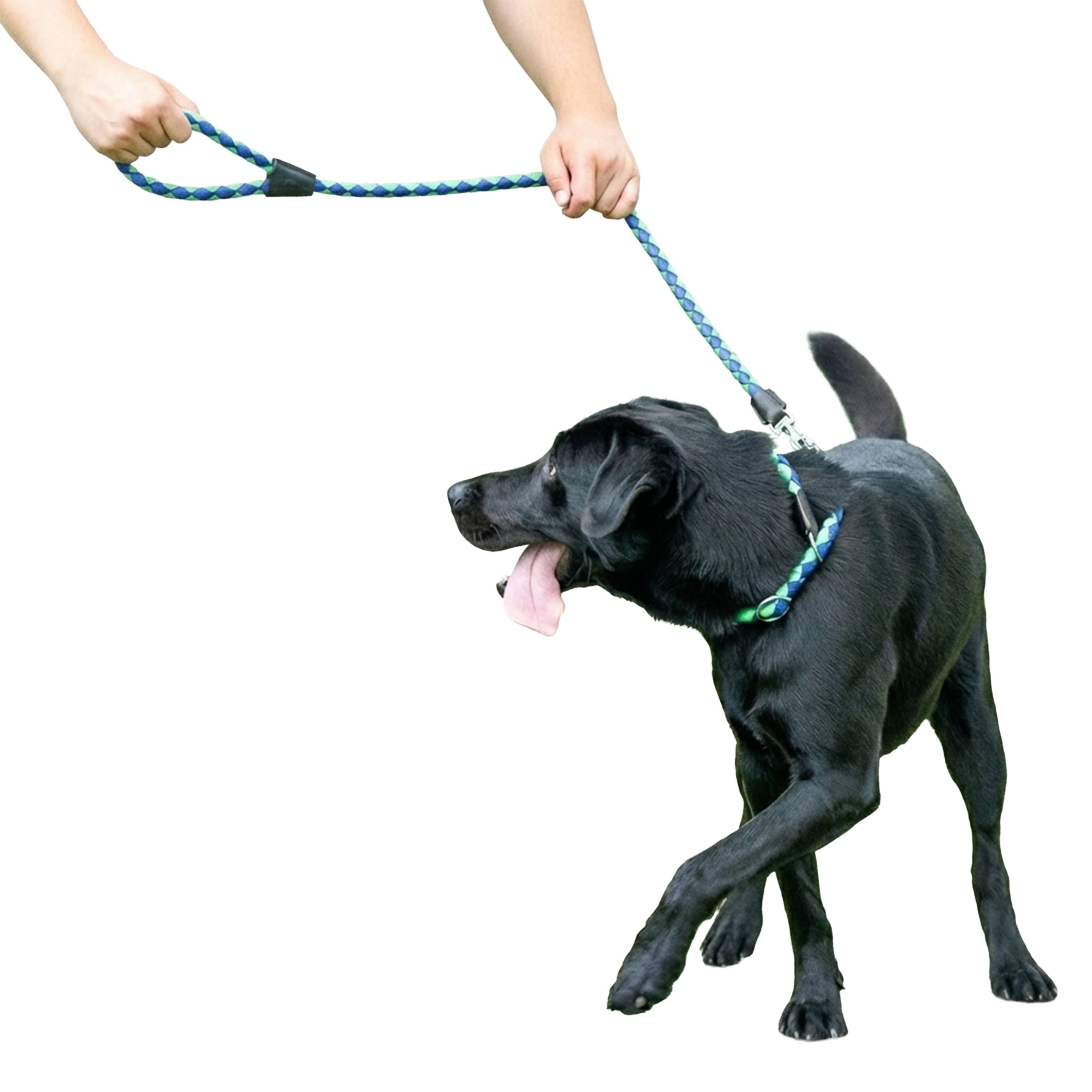 Ferplast - Laisse pour Chiens en Nylon tressé TWIST MATIC G18/110, avec Mousqueton Magnétique Automatique - Imagen 4