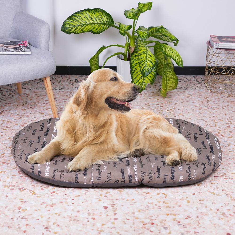 Ferplast - FERPLAST Panier Chien Chat - Coussin pour Chien Chat - Lavable en Machine - Tapis Chien Chat pour Niches et Voitures - Lit pour Chien Chat  - Relax, - Imagen 5