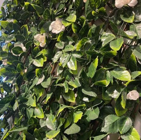 James Grass - France Green - Treillis extensible feuilles de jasmin fleuri, Long 6 m, Hauteur 1 m - Imagen 2
