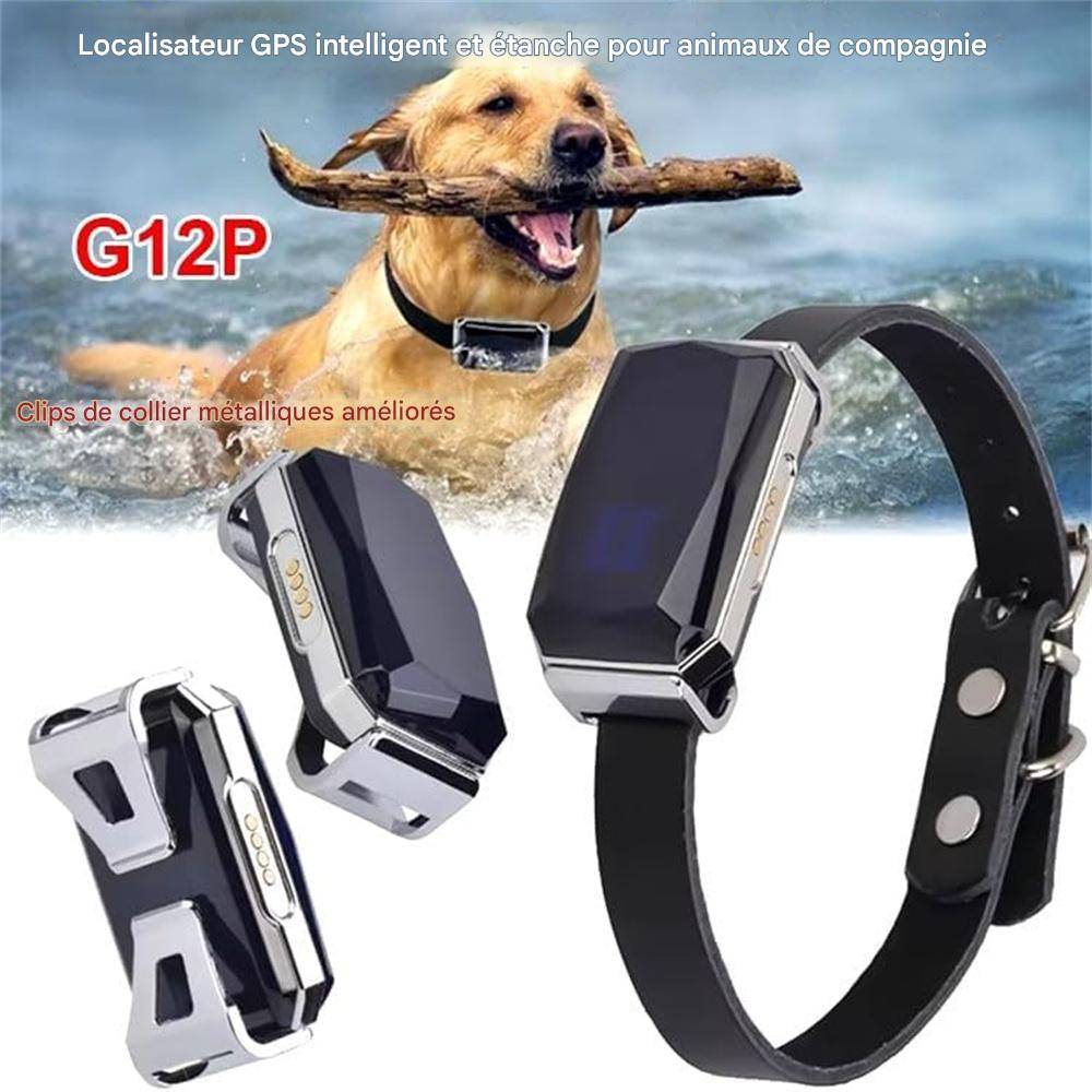 Top 5 Colliers GPS pour Chiens Sans Abonnement en 2025
