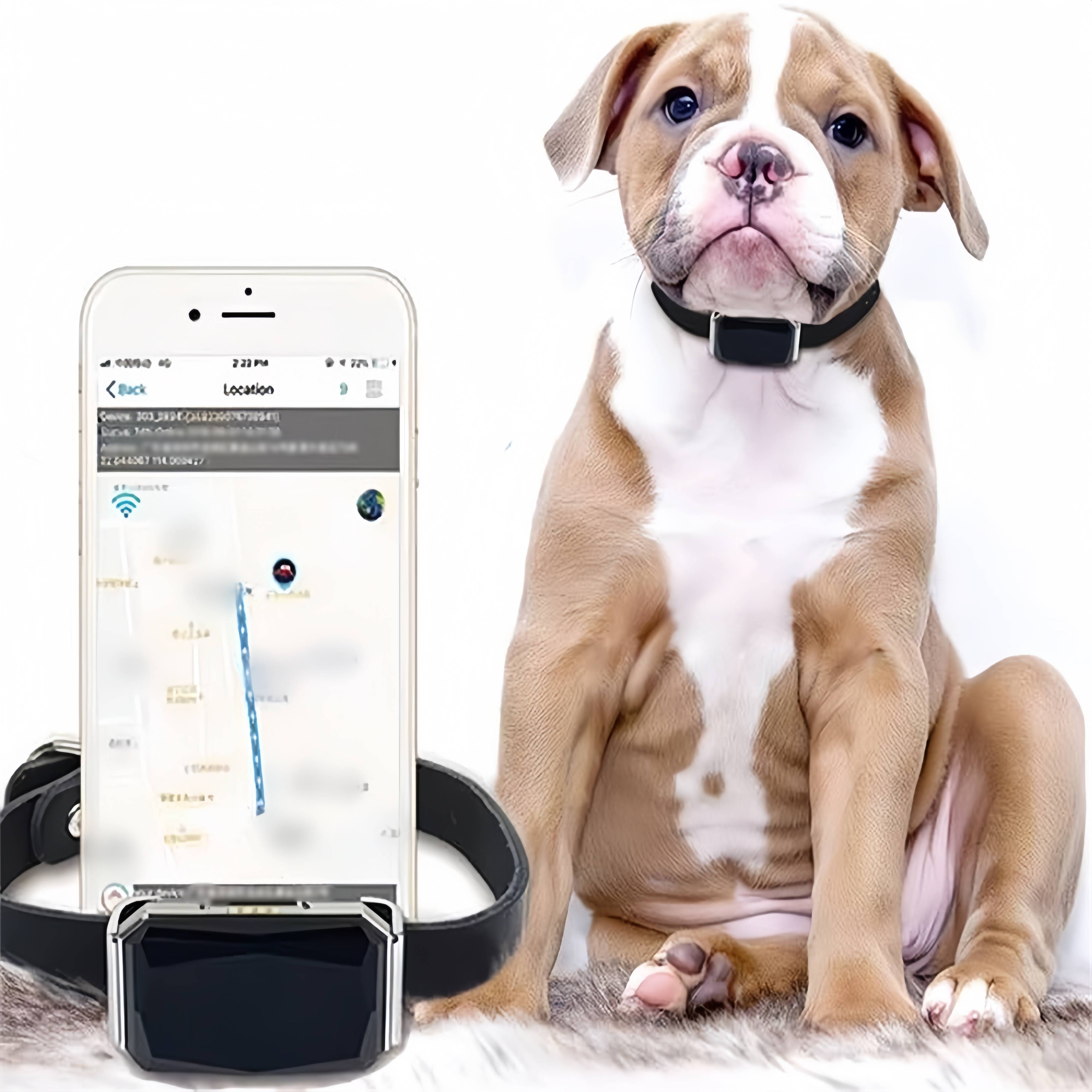 DtopbuyAge - Collier GPS Tracker pour chien DtopbuyAge - Image 1