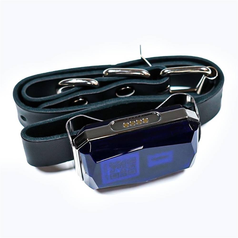 DtopbuyAge - Collier GPS Tracker pour chien DtopbuyAge - Image 4