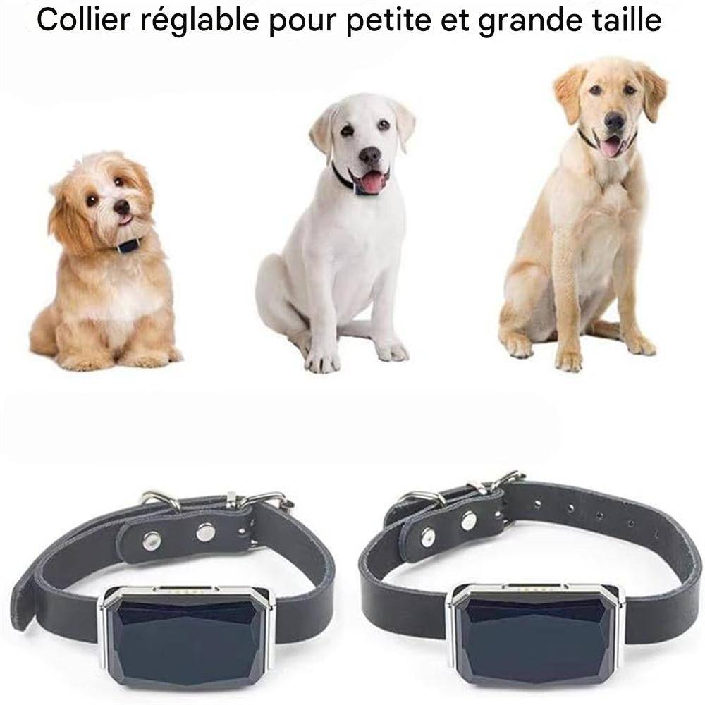 DtopbuyAge - Collier GPS Tracker pour chien DtopbuyAge - Image 3