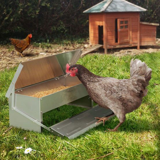 Mangeoire XL pour poules distributeur automatique à pédale en acier 5 KG - Image 1