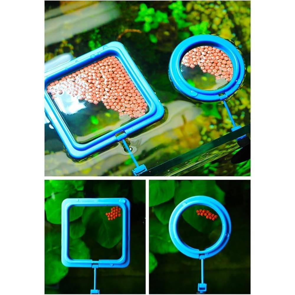 DtopbuyAge - Anneaux d'Alimentation Carrés Ronds - Image 3