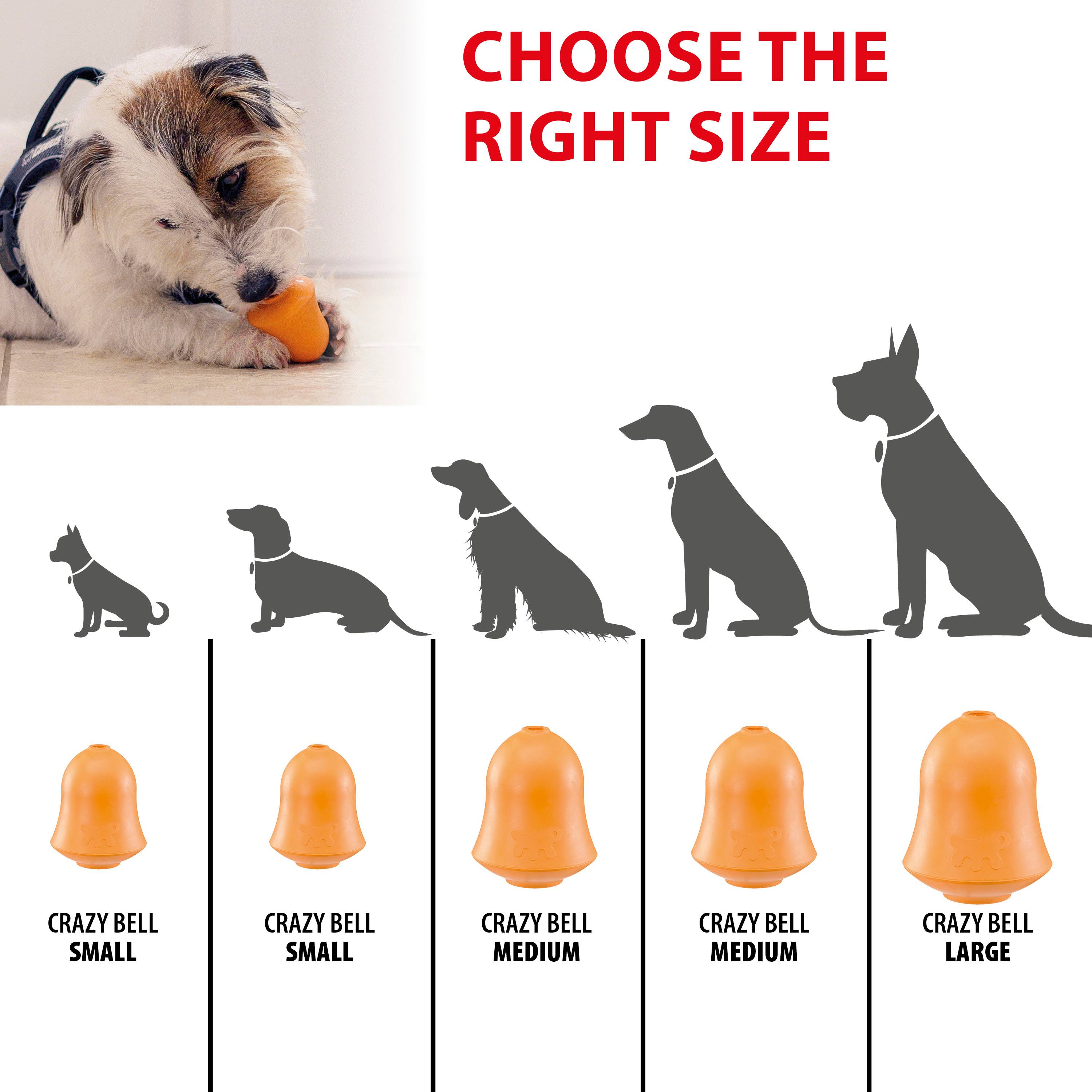 Ferplast - Ferplast Jouet Chien, Distributeur Croquettes ou Friandises, en Caoutchouc Naturel Durable à Mâcher, Arôme de poulet, Rebondissant, Lancer et - Imagen 2