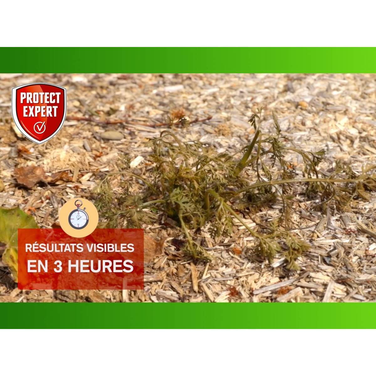0 - PROTECT EXPERT PROHERBIO25N Désherbant Polyvalent concentre 2,5 L - Image 6