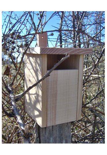 Atelier du Morvan - Nichoir semi-ouvert pour bergeronnettes, en pin Douglas - Imagen 2