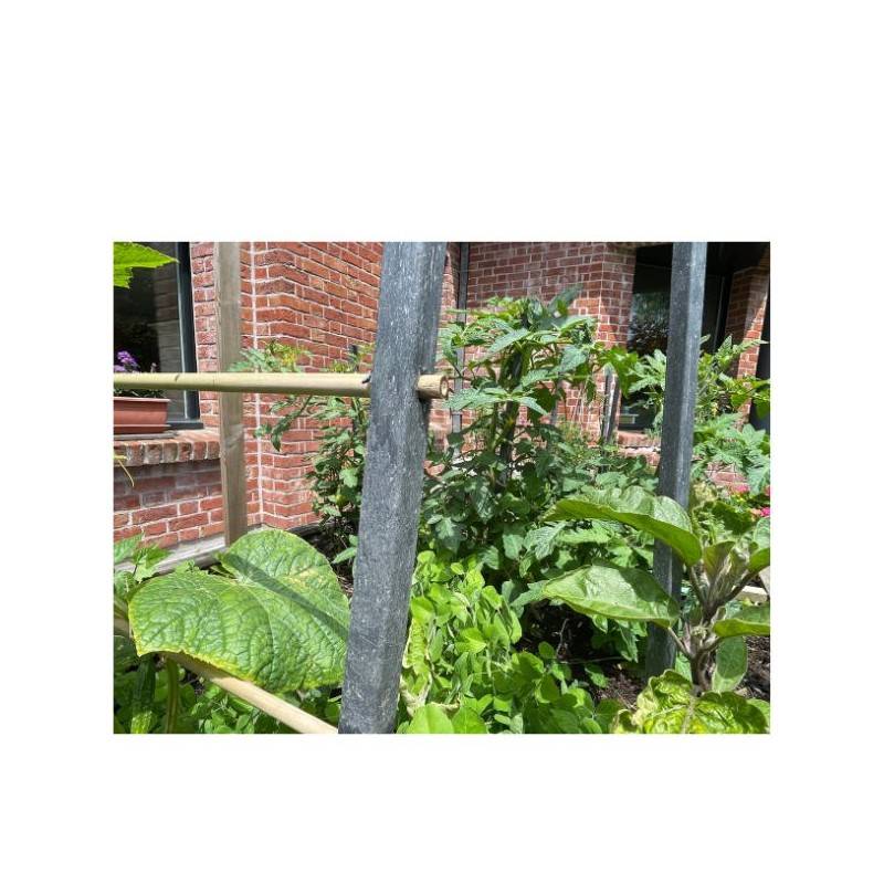 Jardinex - Tuteur Jardin (lot de 10) - Gris anthracite 100 cm - Jardinex - Imagen 10