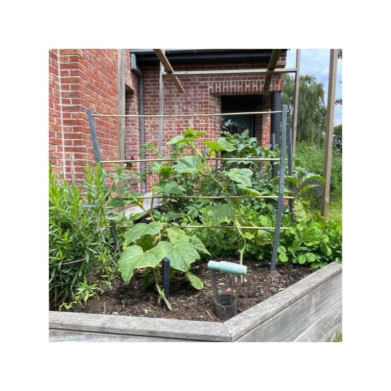 Jardinex - Tuteur Jardin (lot de 10) - Gris anthracite 100 cm - Jardinex - Imagen 4