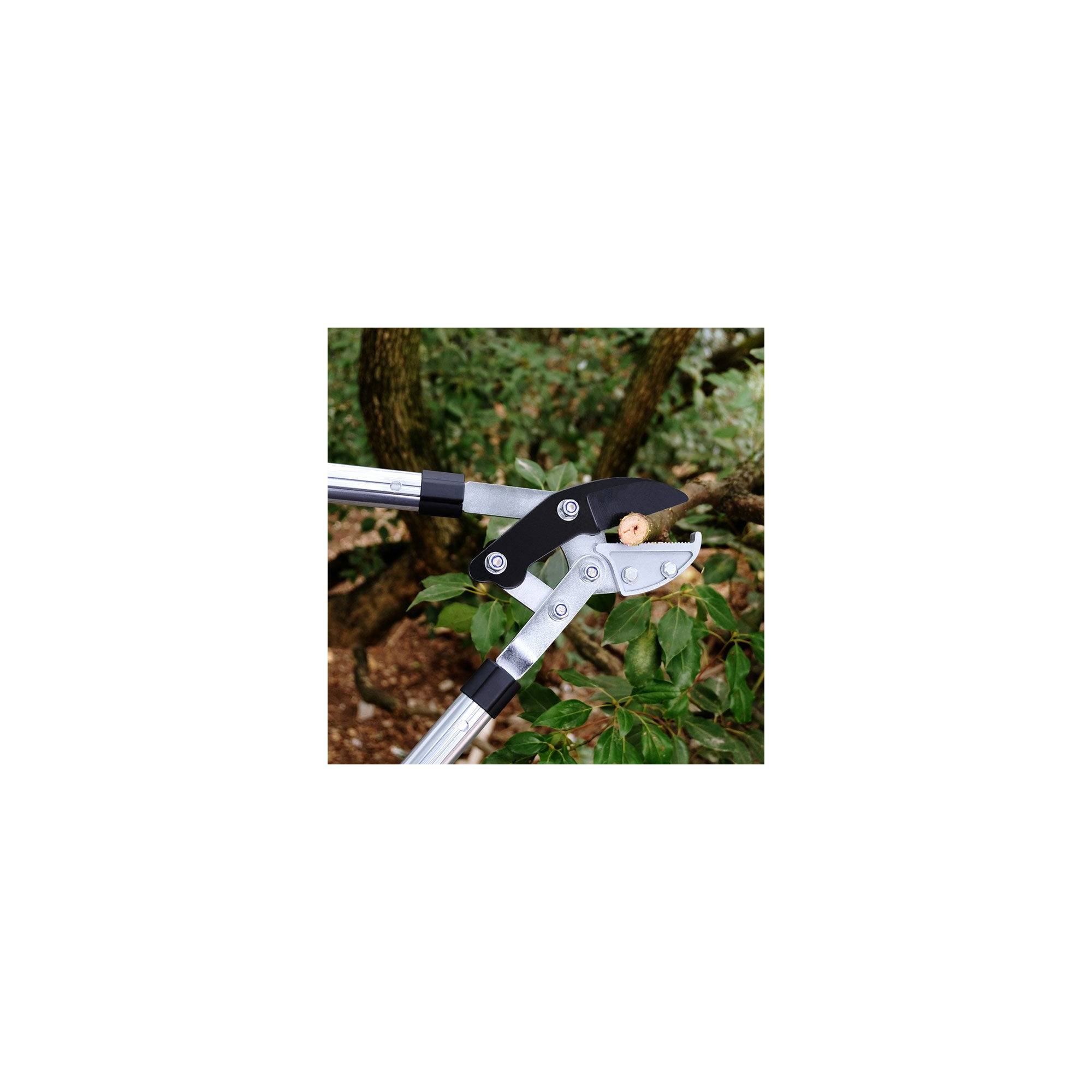 Coupe branche lame enclume - Suan - Manche télescopique - Dimensions : 87 x 34 cm - Imagen 4