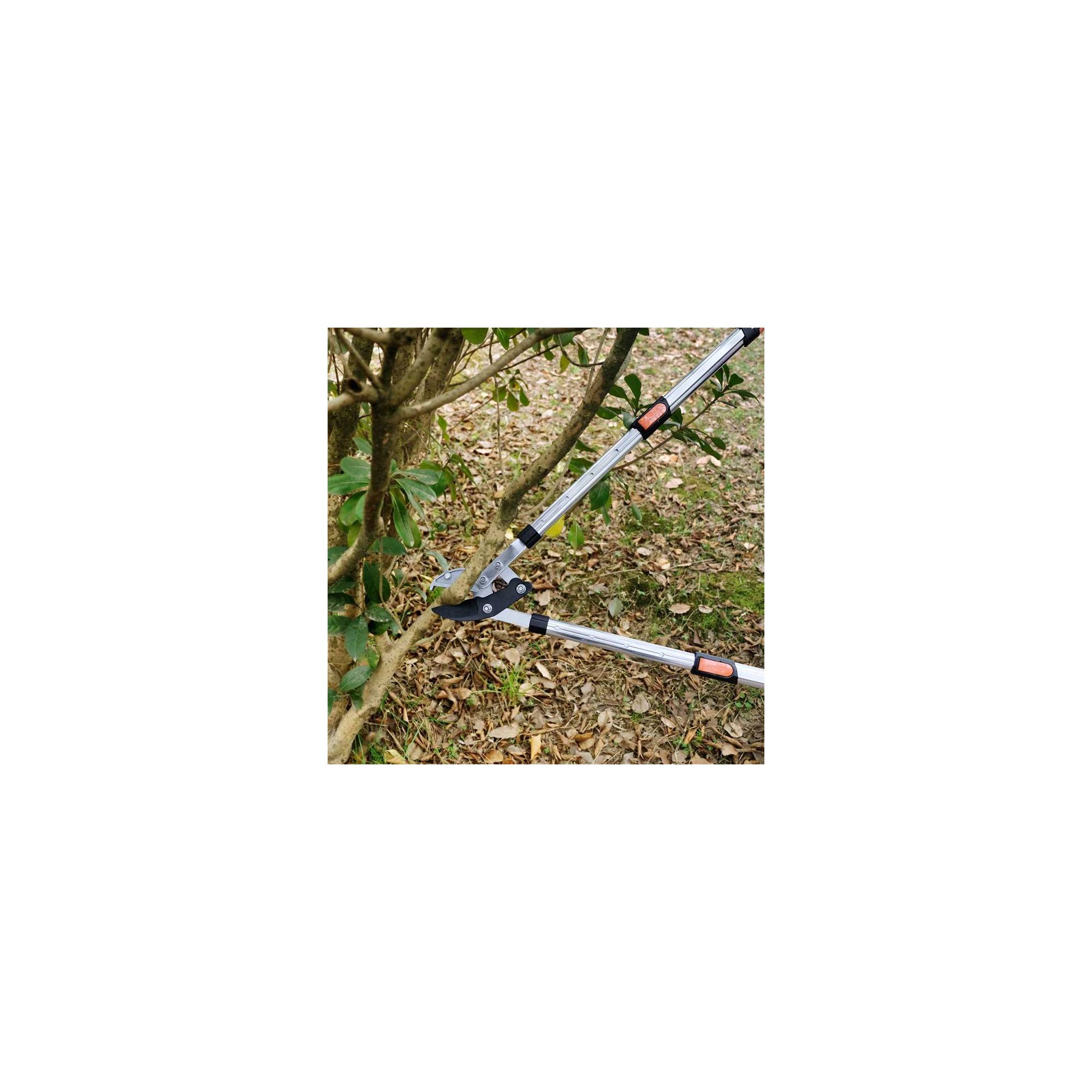 Coupe branche lame enclume - Suan - Manche télescopique - Dimensions : 87 x 34 cm - Imagen 8