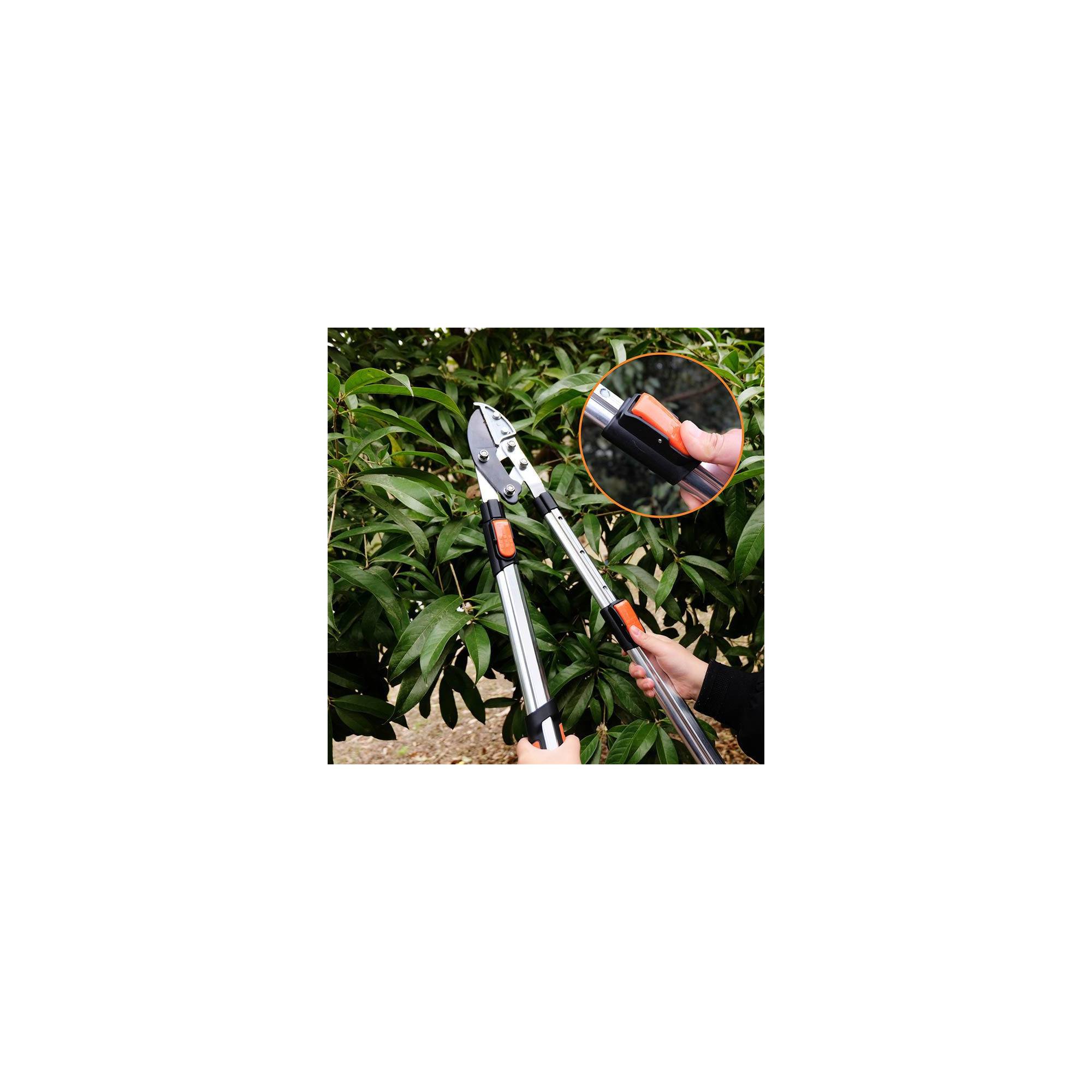 Coupe branche lame enclume - Suan - Manche télescopique - Dimensions : 87 x 34 cm - Imagen 7