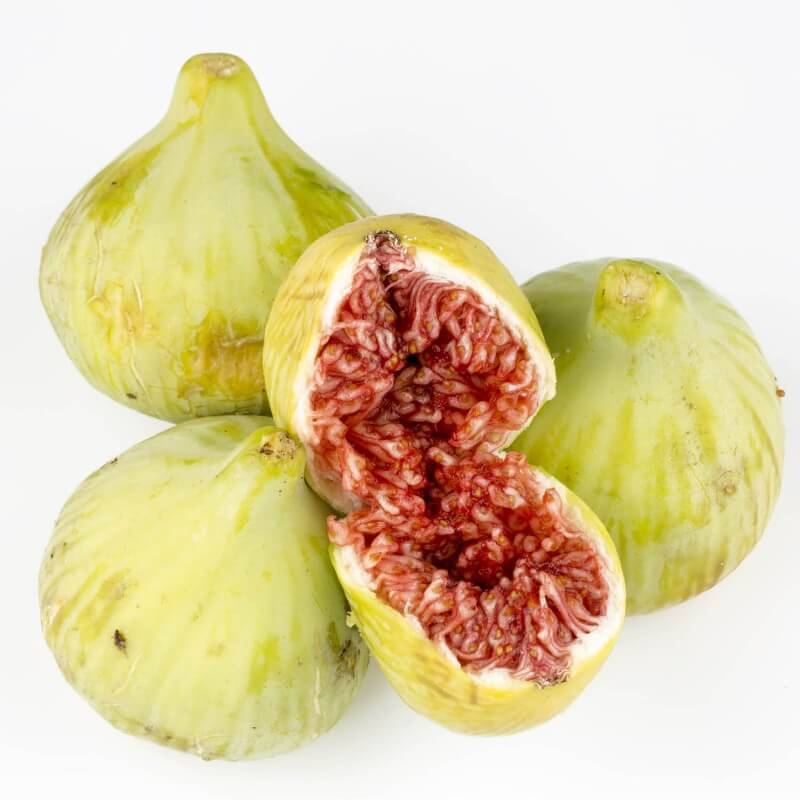 Figuier carica 'Goutte d'Or' (Ficus carica 'Goutte d'or') - Godet - Taille 13/25cm - Pépinières Naudet - Imagen 2