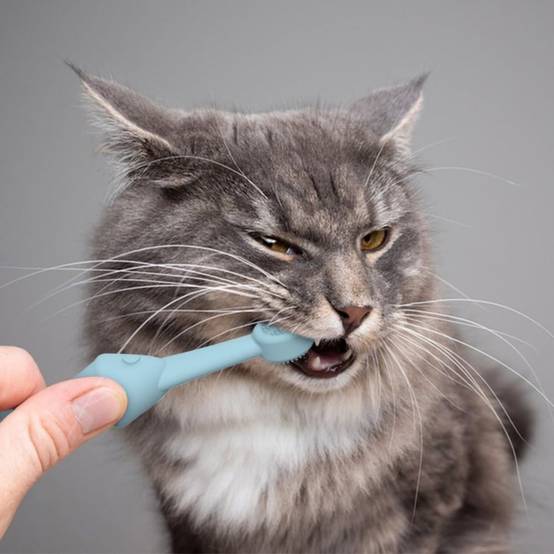 Soin bucco-dentaire-Lot de 2 brosses à dents silicone pour chien/chat - Living123 - Image 6