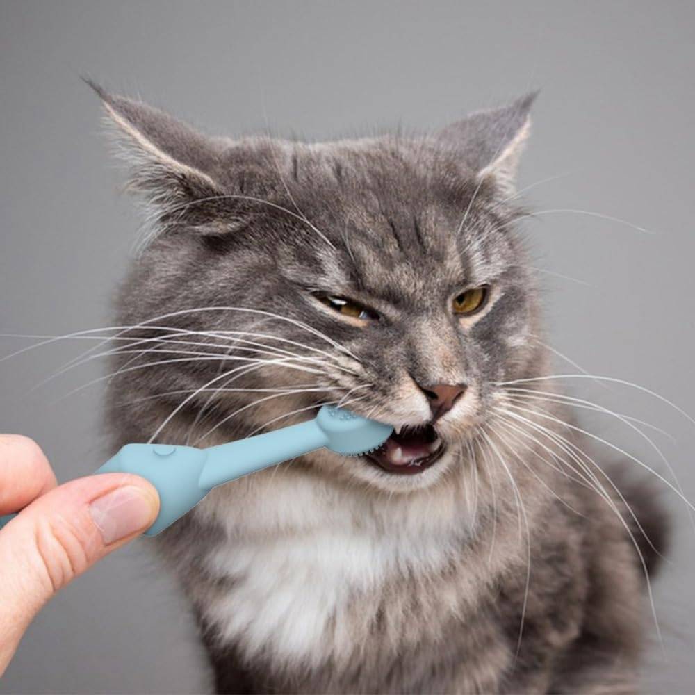 Soin bucco-dentaire-Lot de 2 brosses à dents silicone pour chien/chat - Living123 - Image 6