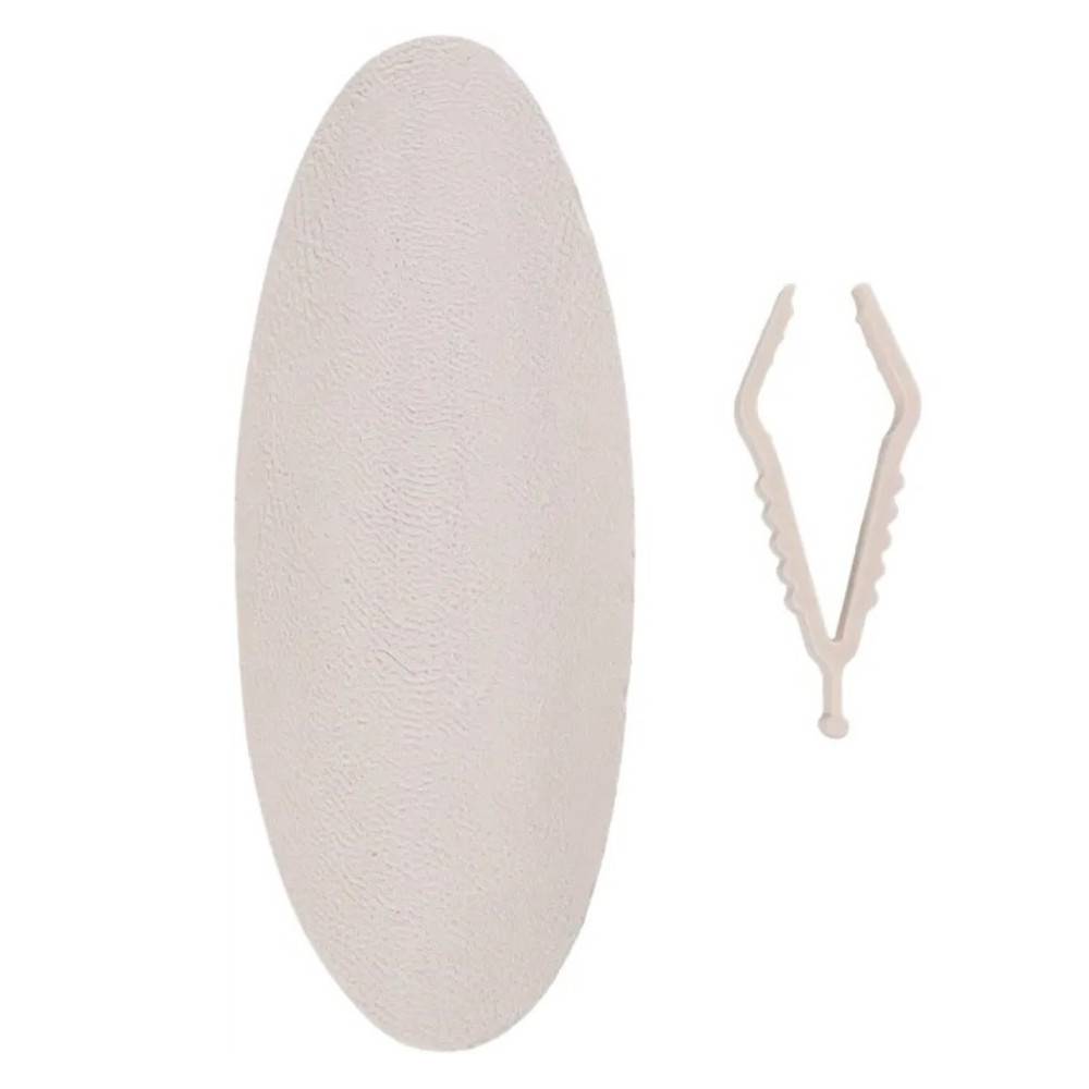 Un Os de seiche blanc  15 cm avec support pour oiseaux - Image 1